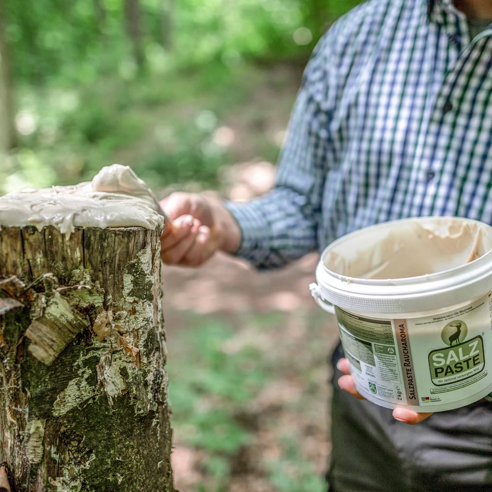 Eurohunt mamac-pasta Saltz Jabuka za divlje svinje i srndaća - 590219 - Image 2